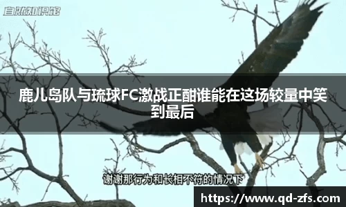 好博体育