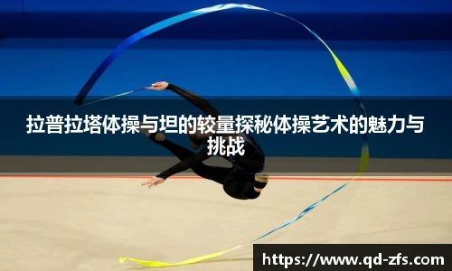 拉普拉塔体操与坦的较量探秘体操艺术的魅力与挑战